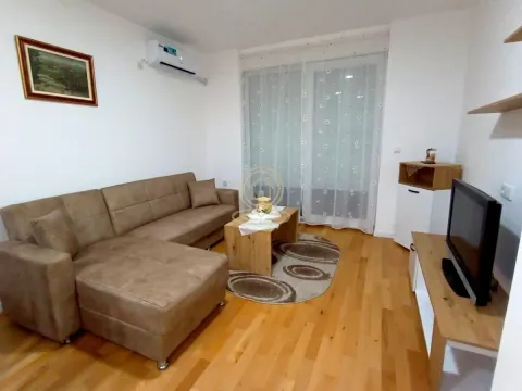 Rent, one bedroom apartment, 47m², Palilula, Niš - image 3