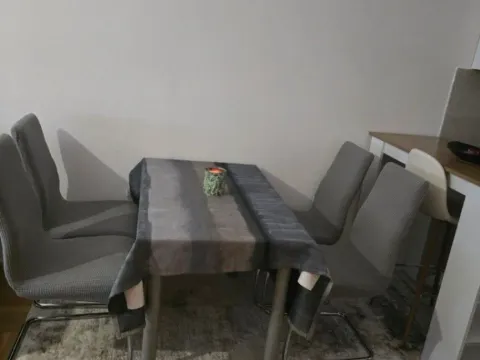 Izdavanje, jednosoban stan, 48m², Stari Aerodrom, Podgorica - image 12