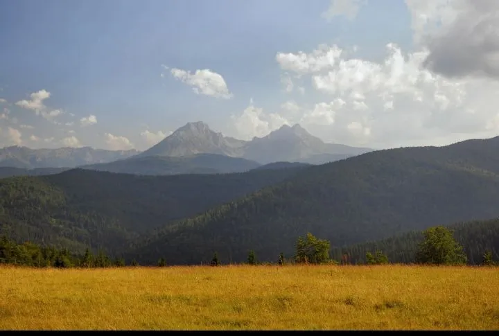 Pogled na planine i šumu sa parcele.