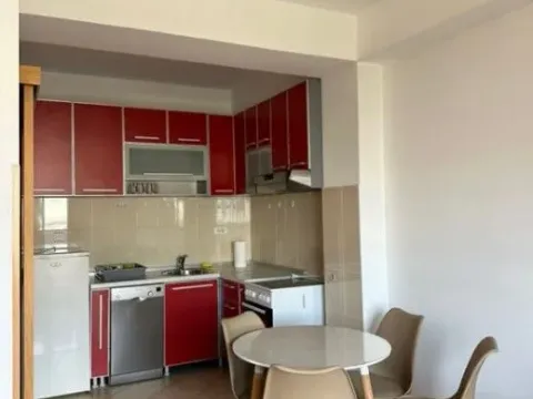 Rent, one bedroom apartment, 50m², Preko Morače, Podgorica - image 12