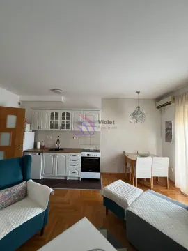 Dnevni boravak sa trpezarijom i kuhinjom u jednoj prostoriji. - image 4