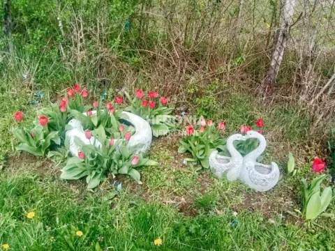 Sale, house, 72m², Konatice, Obrenovac - image 2