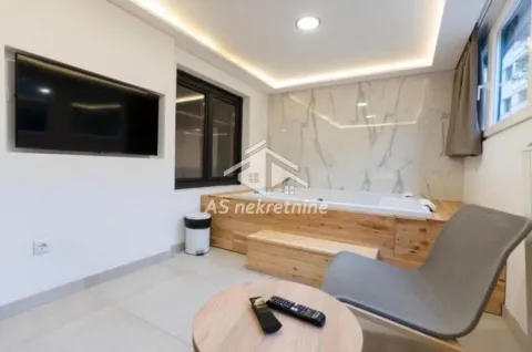 Izdavanje, dvosoban stan, 55m², Južni Bulevar, Vračar Sve Podlokacije - image 25