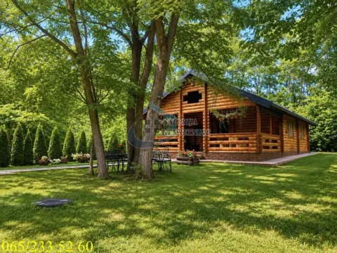 Prodaja, kuća, 77m², Alibunar, Srbija - image 1