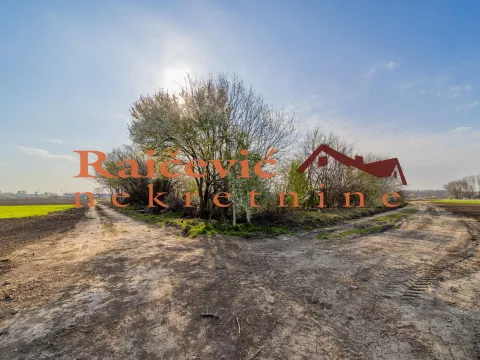 Zemljište in Zemun Sve Podlokacije