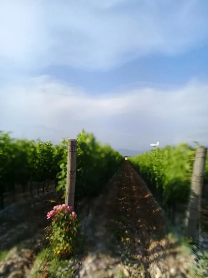 Prodaja, plac, 15000m², Podgorica, Crna Gora