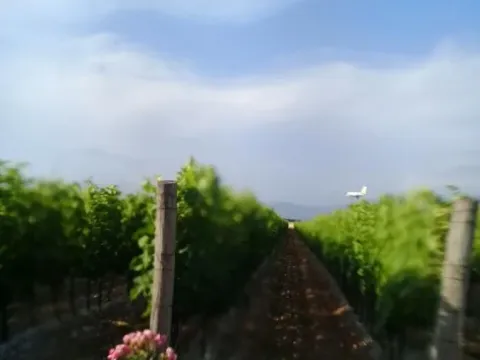 Prodaja, plac, 15000m², Podgorica, Crna Gora - image 3