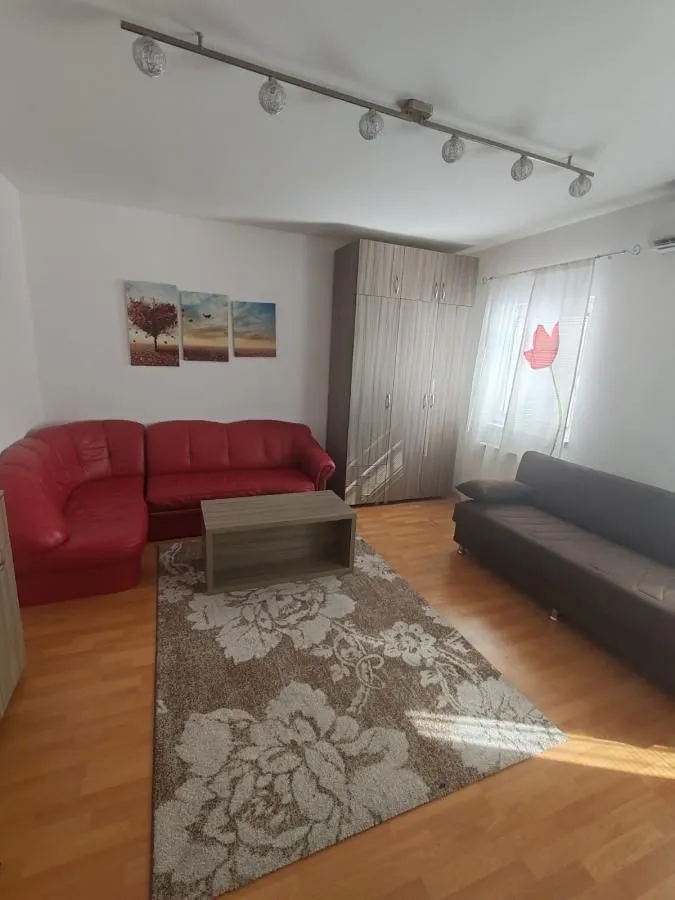 Rent, one bedroom apartment, 32m², Bulevar patrijarha Pavla, Novi Sad Sve Podlokacije