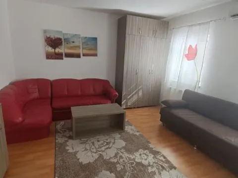 Rent, one bedroom apartment, 32m², Bulevar patrijarha Pavla, Novi Sad Sve Podlokacije - image 8