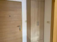 Izdavanje, jednosoban stan, 45m², Stari Aerodrom, Podgorica - image 9