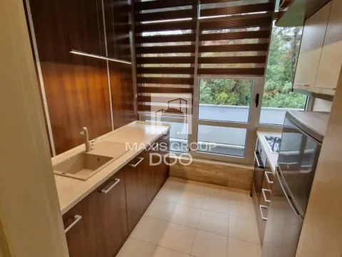 Izdavanje, dvosoban stan, 48m², Savski Venac, Beograd - image 10