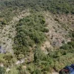 Izdavanje, jednosoban stan, 45m², Bečići, Budva - image 11