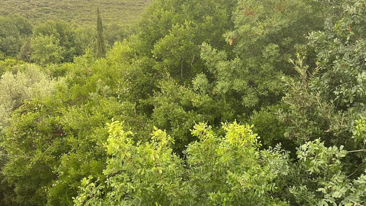 Sale, land lot, 700m², Bigova, Kotor