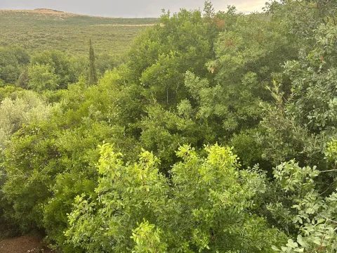 Sale, land lot, 700m², Bigova, Kotor