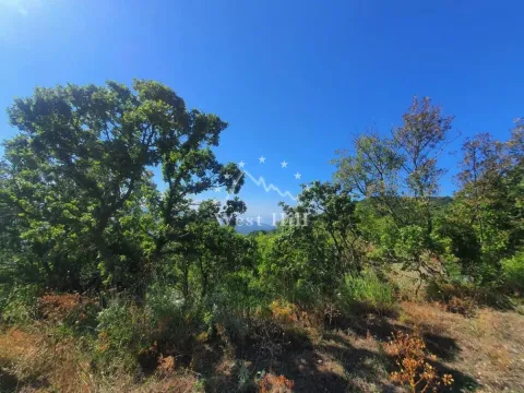 Prodaja, plac, 14000m², Pečurice, Bar - image 2