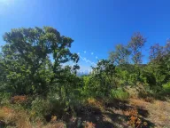 Sale, land lot, 14000m², Pečurice, Bar - image 2