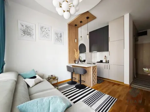 Rent, studio apartment, 24m², Zabjelo, Podgorica - image 4