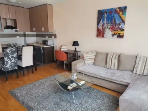 Izdavanje, jednosoban stan, 51m², Kod Big Fashion-a, Podgorica - image 3