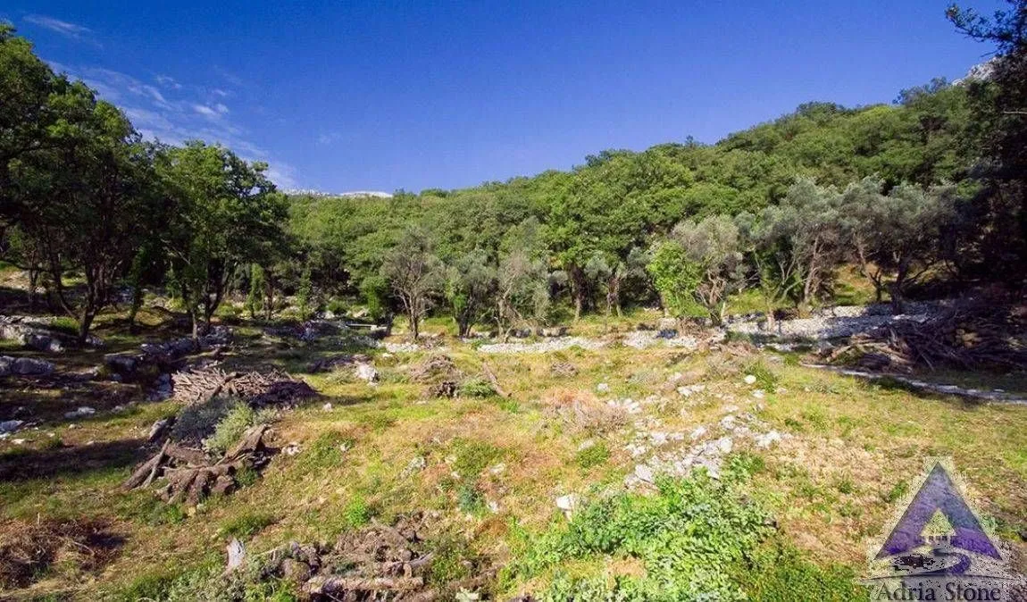 Prodaja, plac, 14551m², Tudorovići, Budva