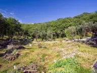 Sale, land lot, 14551m², Tudorovići, Budva - image 7