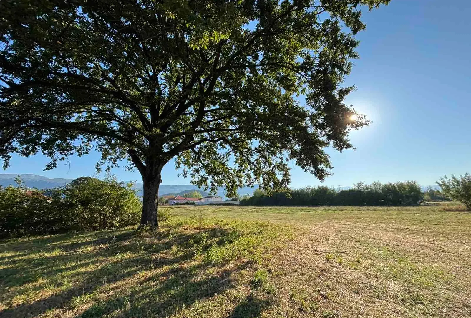 Prodaja, plac, 17168m², Novo Selo, Danilovgrad