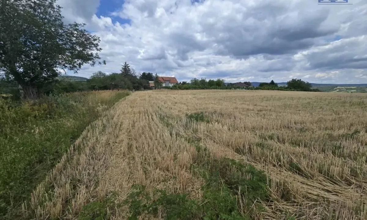 Sale, land lot, 1682m², Banja Vrdnik, Irig