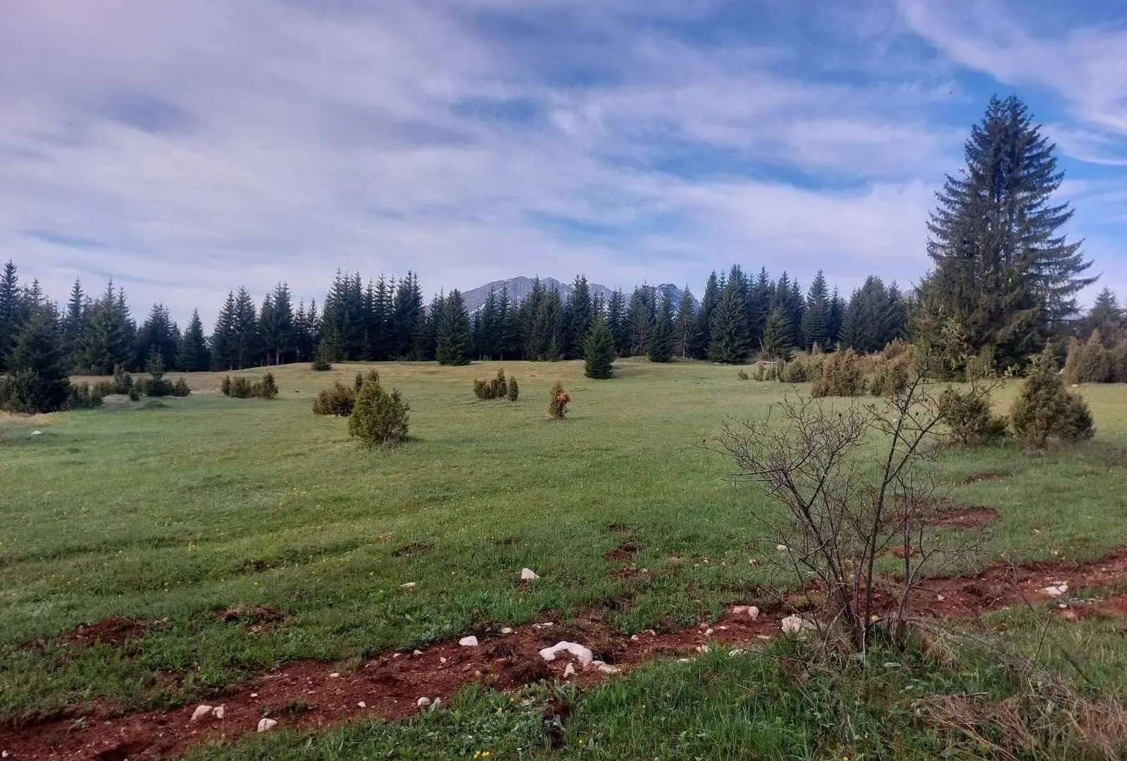 Prodaja, plac, 17505m², Žabljak, Crna Gora