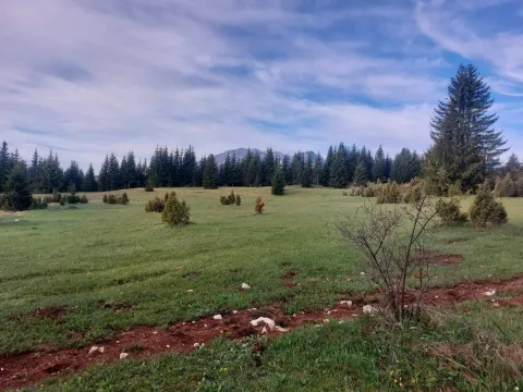 Prodaja, plac, 17505m², Žabljak, Crna Gora - image 6