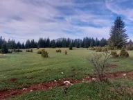 Sale, land lot, 17505m², Žabljak, Crna Gora - image 6