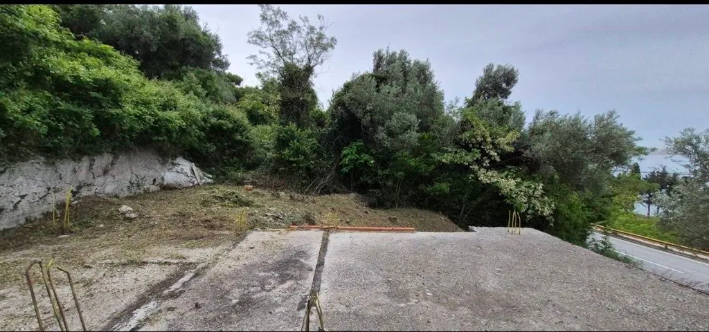 Pogled na plac sa betonskom podlogom i rastinjem.