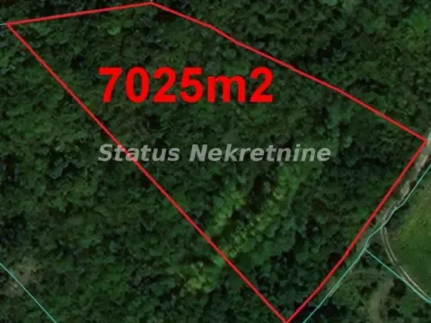 Sale, land lot, 7000m², Sremski Karlovci, Novi Sad - image 4