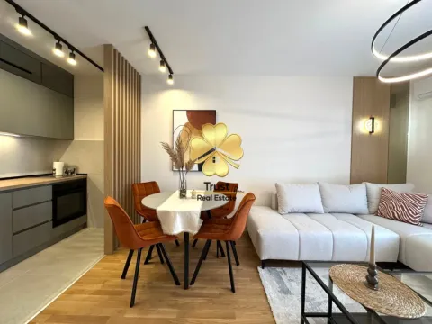 Rent, one bedroom apartment, 45m², Pobrežje, Podgorica - image 5