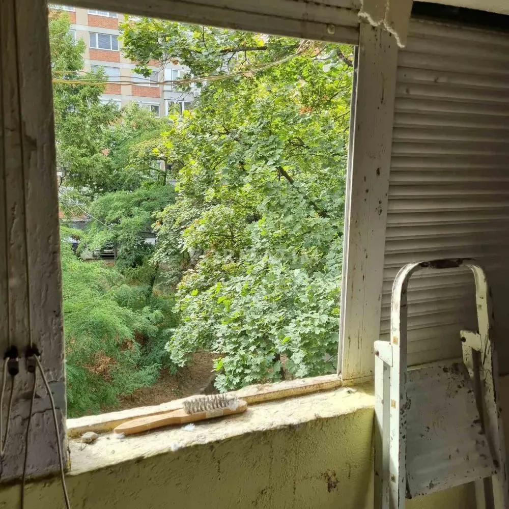 View through the window of green trees and surrounding buildings.