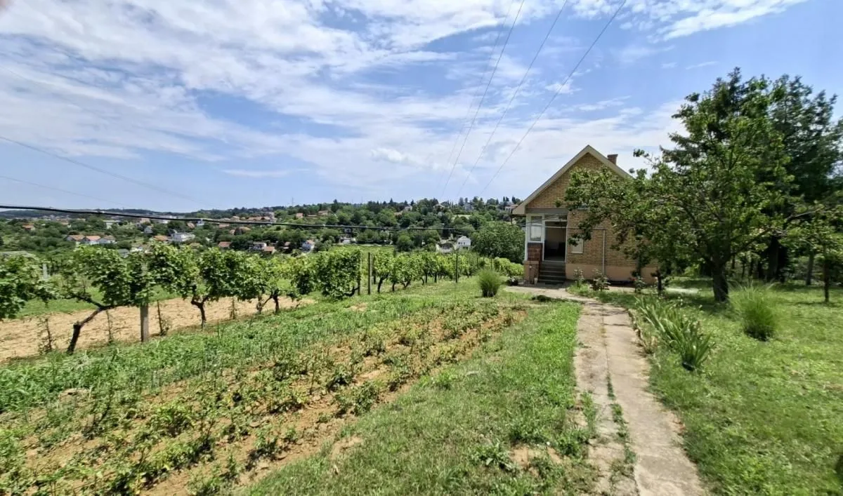 Prodaja, plac, 3000m², Bocke, Petrovaradin