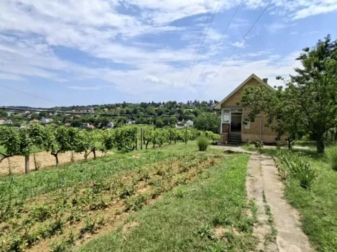 Prodaja, plac, 3000m², Bocke, Petrovaradin - image 4