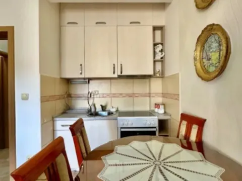 Izdavanje, jednosoban stan, 40m², Zabjelo, Podgorica - image 12