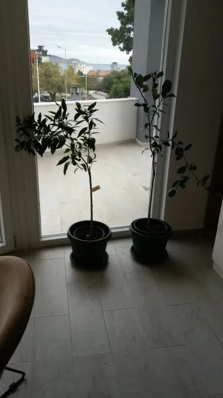 Rent, studio apartment, 36m², Sutomore, Bar