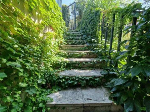 Rent, house, 250m², Sveti Stefan, Budva - image 18