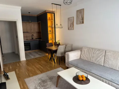 Rent, one bedroom apartment, 42m², Stari Aerodrom, Podgorica - image 3