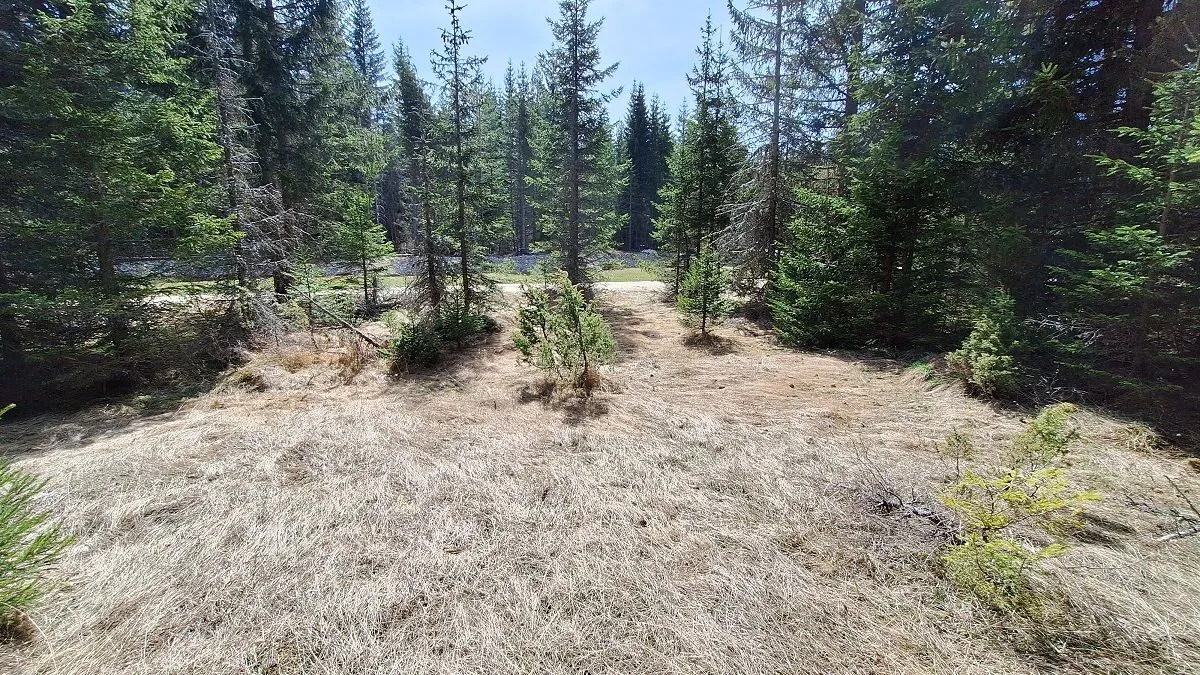 Prodaja, plac, 6750m², Podgora, Žabljak