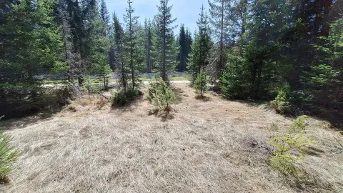 Prodaja, plac, 6750m², Podgora, Žabljak - image 8