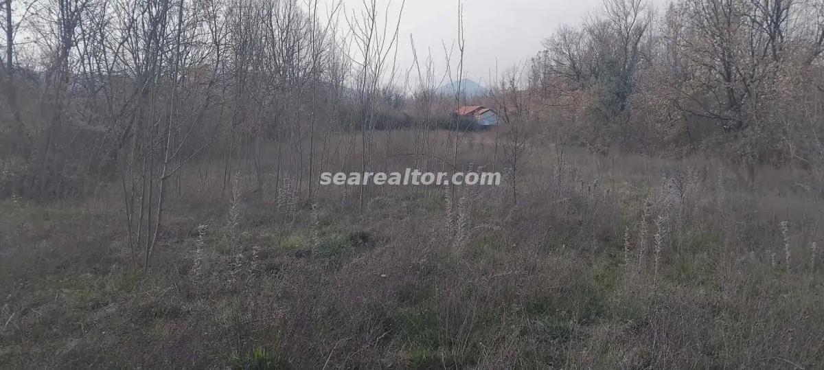 Prodaja, plac, 2386m², Dajbabe, Podgorica