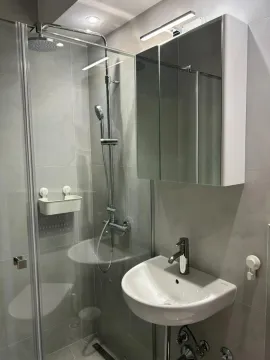 Moderno opremljeno kupatilo sa tuš kabinom i umivaonikom. - image 9
