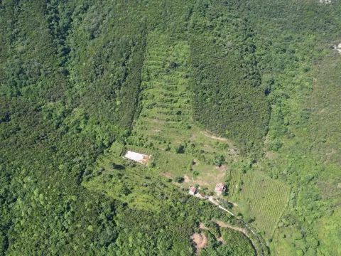 Prodaja, plac, 83000m², Radanovići, Kotor - image 14