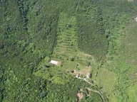 Prodaja,  zemljište, 83000m2, Radanovići, Kotor