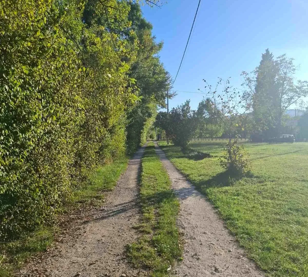 Prodaja, plac, 2881m², Begovina, Danilovgrad