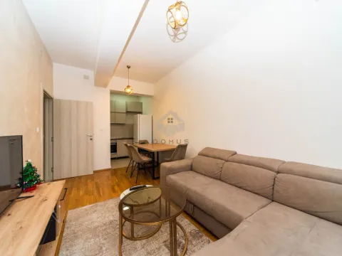 Rent, one bedroom apartment, 40m², Zagorič, Podgorica - image 3