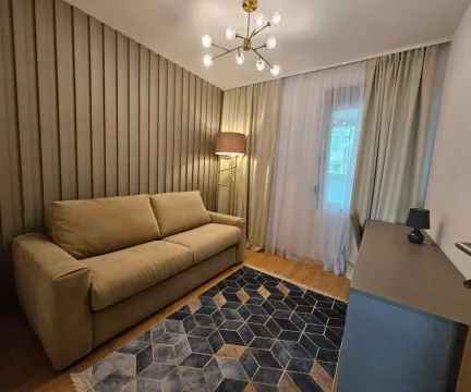 Moderna i uredna dnevna soba sa kaučem i tepihom geometrijskog dezena. - image 19