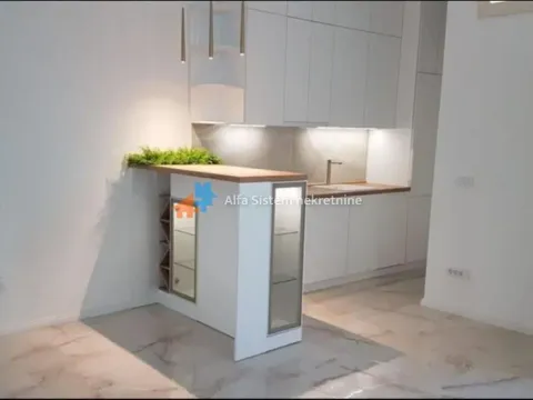 Izdavanje, trosoban stan, 105m², Stari Grad, Beograd - image 4