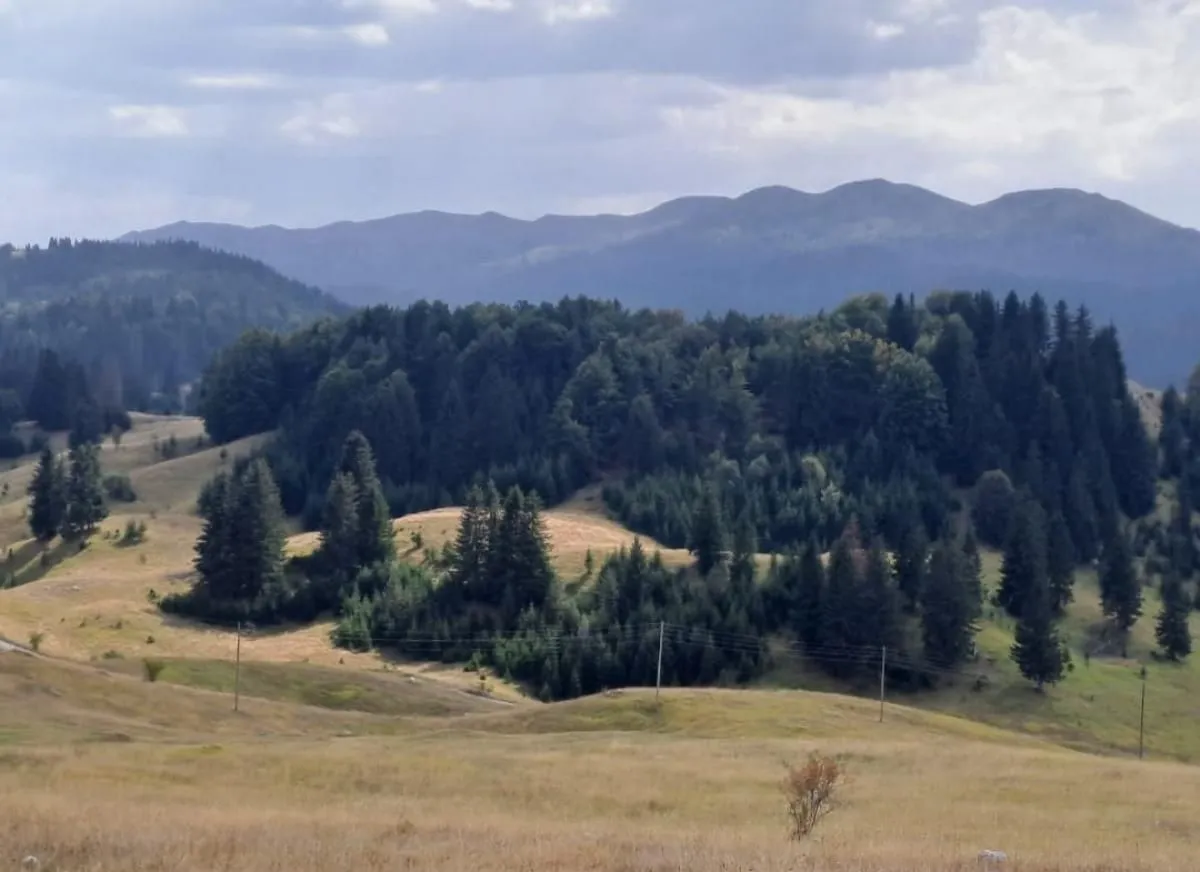 Prodaja, plac, 32700m², Krš, Žabljak